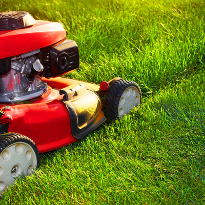 Mowing Height for Healthy Lawns