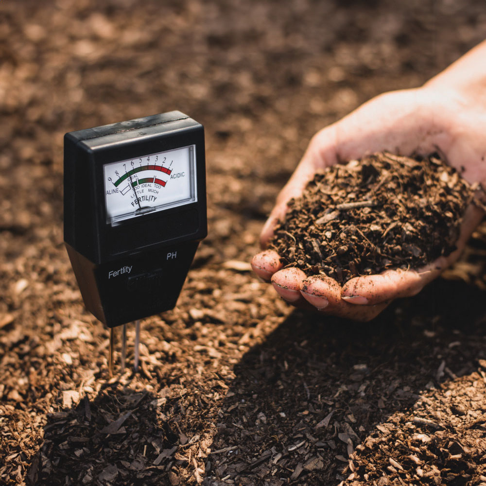 Soil Testing - Get a Healthy Lawn From the Ground Up