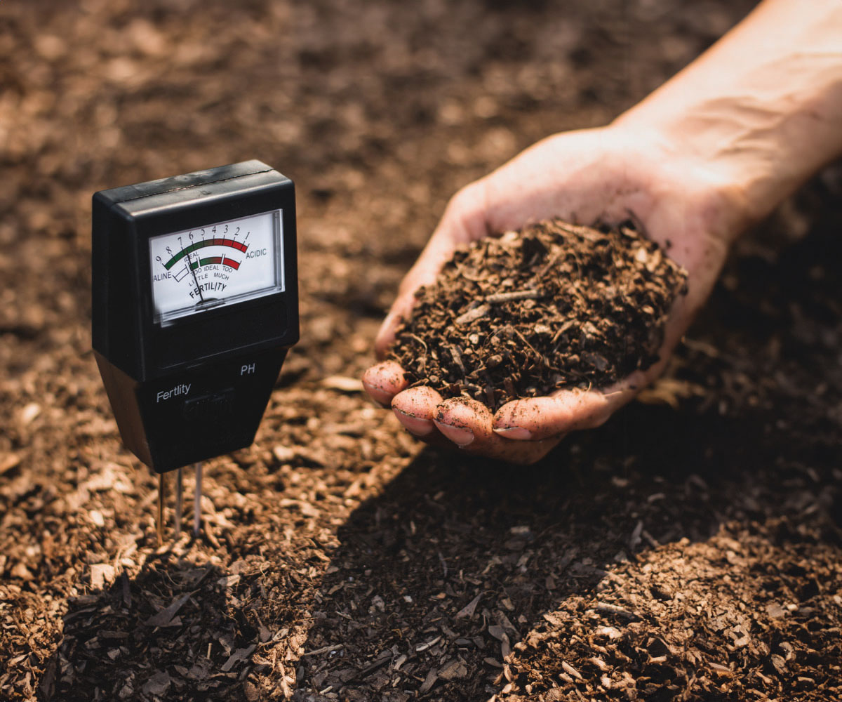 soil-ph-meter with hand