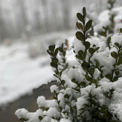 Avoiding Winter Damage – Best Practices Avoiding Winter Damage – Best Practices