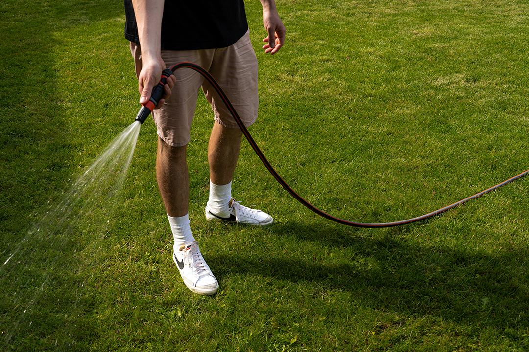 watering lawn