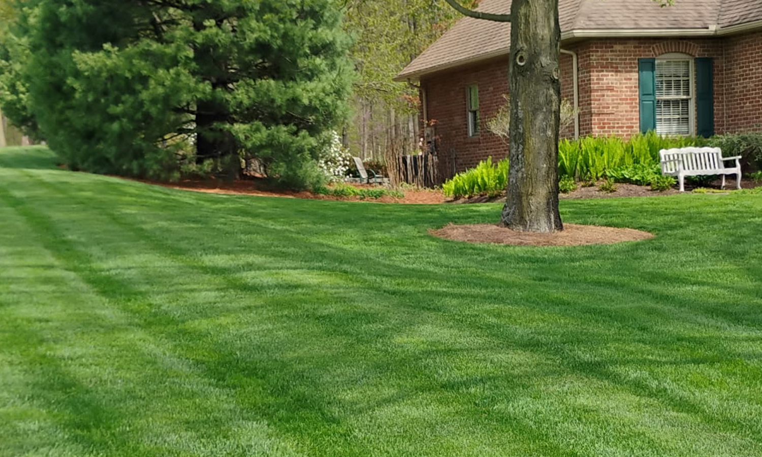 Lawn with bench2
