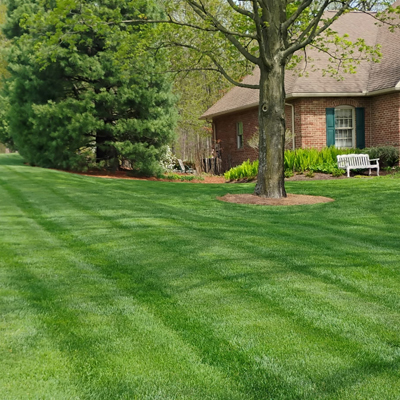 Fall Lime Application Makes a Beautiful Lawn Fall Lime Application Makes a Beautiful Lawn